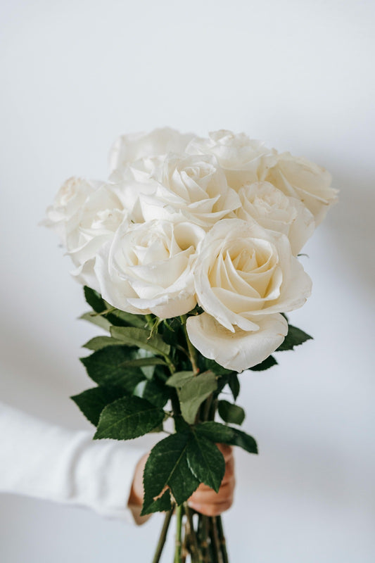 Close-up of pristine white rose petals and long green stems, highlighting the soft texture and elegant structure of premium long-stem roses.