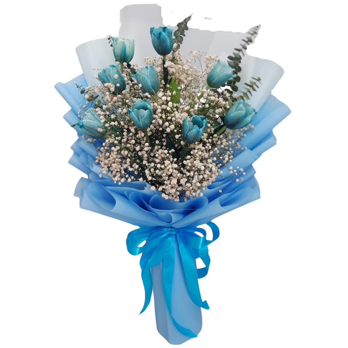Bouquet of 10 rare blue tulips with white gypsophila and eucalyptus leaves, wrapped in elegant blue and white floral paper with ribbon.