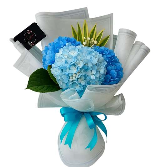 Bouquet of 3 light blue hydrangeas wrapped in white floral paper with a soft blue ribbon.