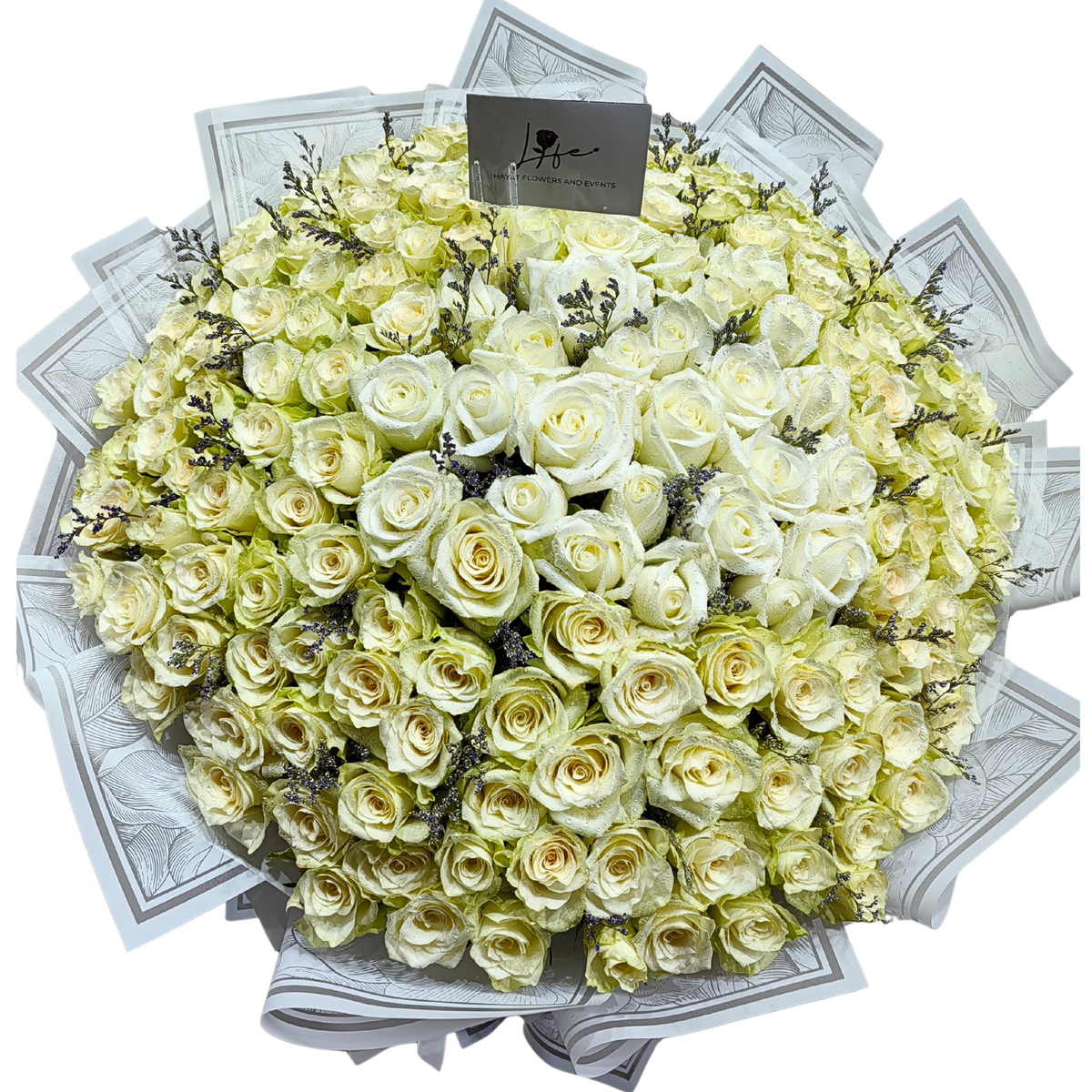 Hayat Flowers' bouquet of 100 fresh white roses wrapped in elegant white floral paper.