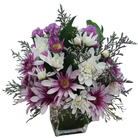 Fresh flower arrangement of violet and white daisies with statice in a clear glass vase-- minimalist gift from Hayat Flowers Dubai.