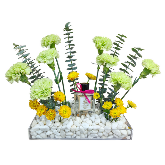 Passionate Bloom tabletop garden arrangement consisting of soft mint green carnations, yellow spray chrysanthemums, and baby blue eucalyptus with a 60ml Trinity  "Passionate" perfume bottle on white pebbles in a sleek acrylic tray.
