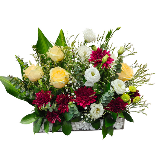 Sunny Serenade tabletop flower arrangement-- butterscotch yellow roses, white lisianthus, red chrysanthemums, and eucalyptus on white pebbles in a sleek acrylic box.