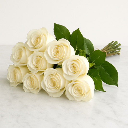 A bouquet of fresh, 10-stem white roses from Hayat Flowers.